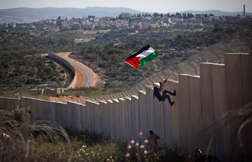 Protest against the wall, Bil'in, West Bank, 28.2.2014